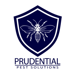 Commercial Pest Control Chester County