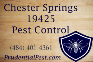 Chester Springs Pest Control