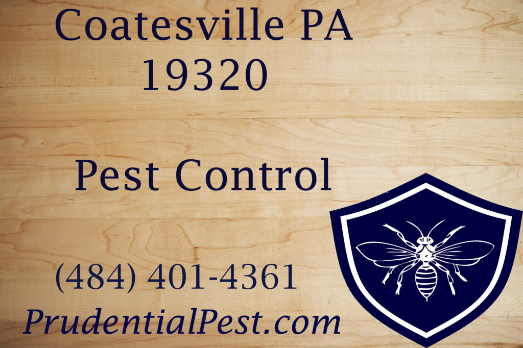 Coatesville PA Pest Control