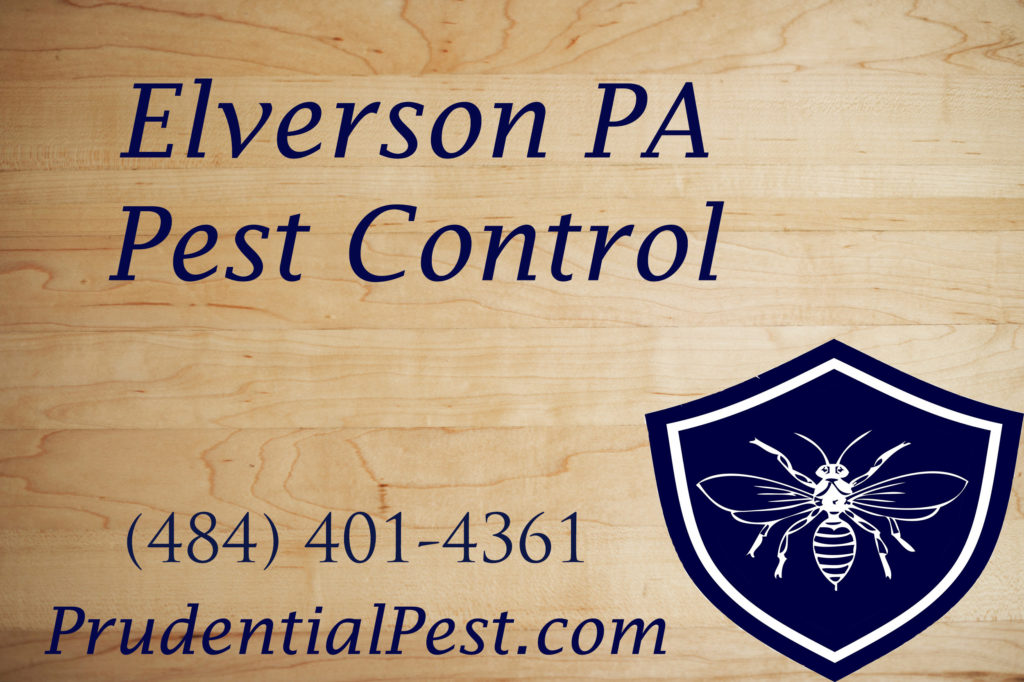 Elverson Pest Control