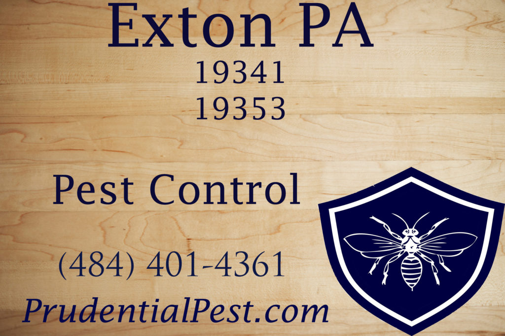 Exton PA Pest Control