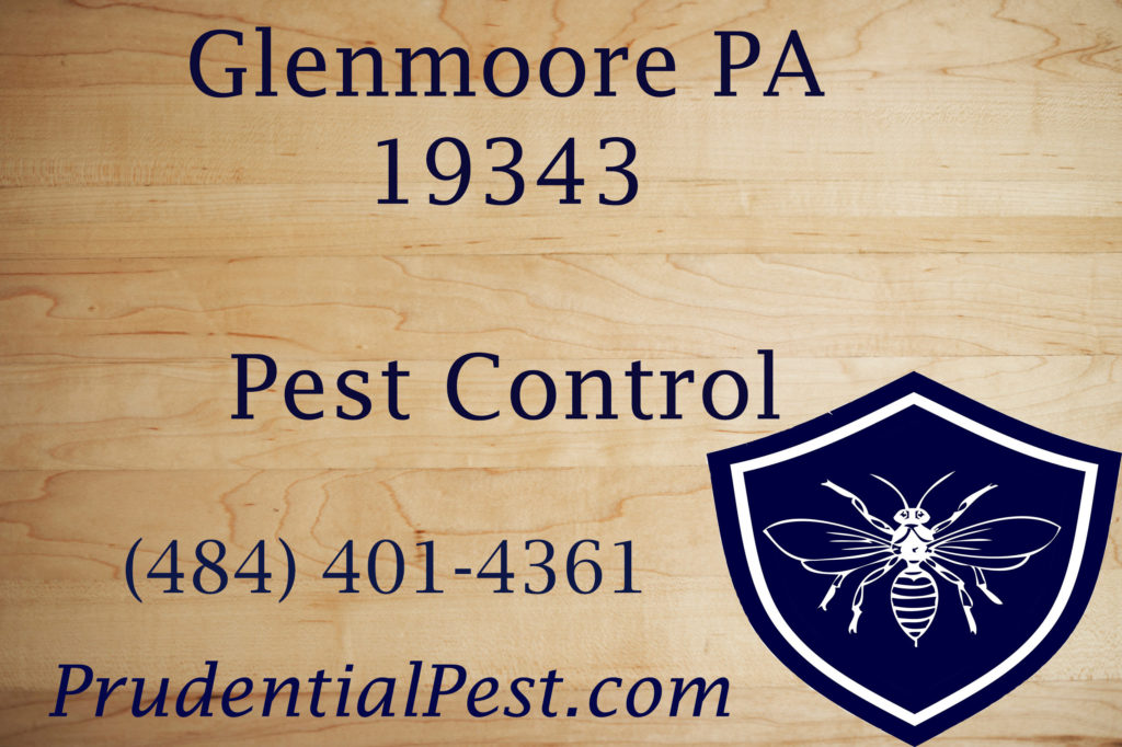 Glenmoore PA Pest Control