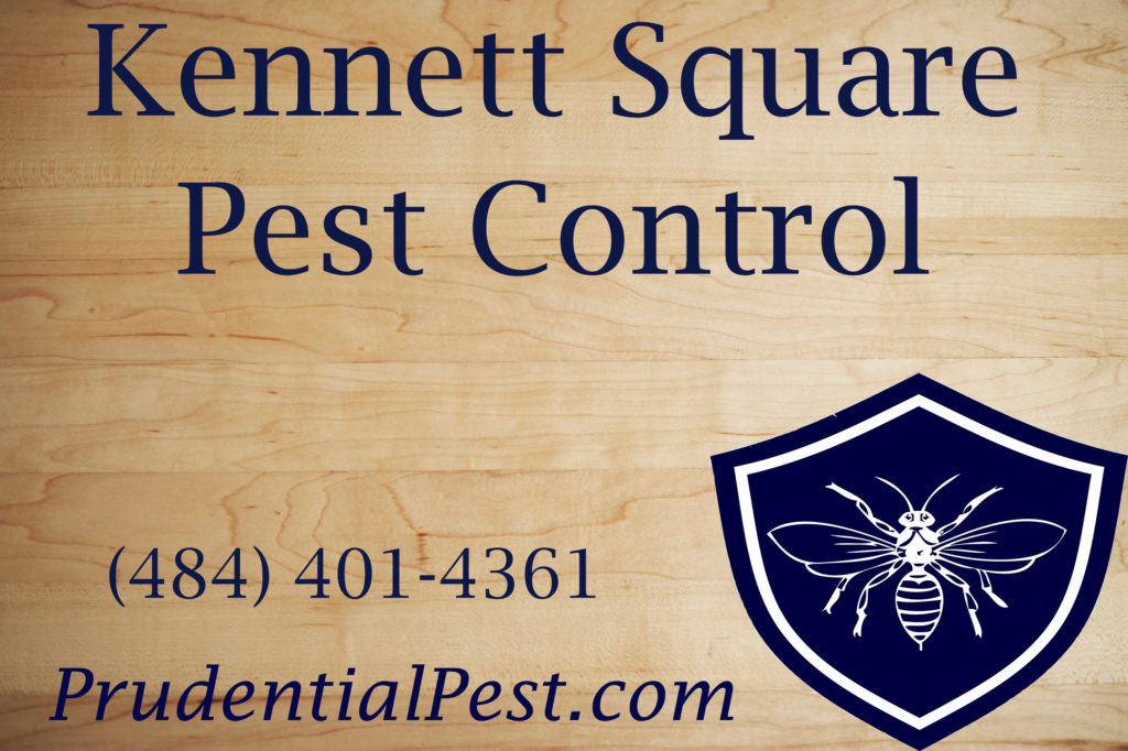 Kennett Square Pest Control