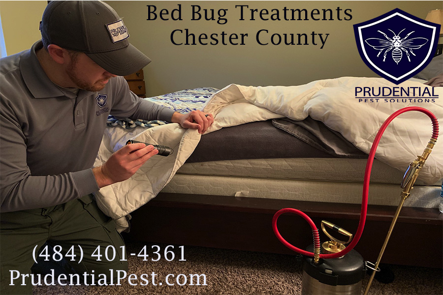 Bed Bug Treatments West Chester