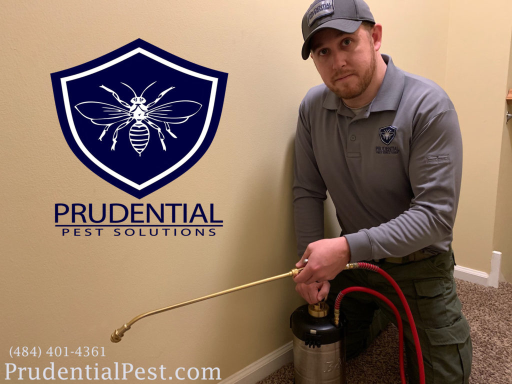 Pest Control Chester County