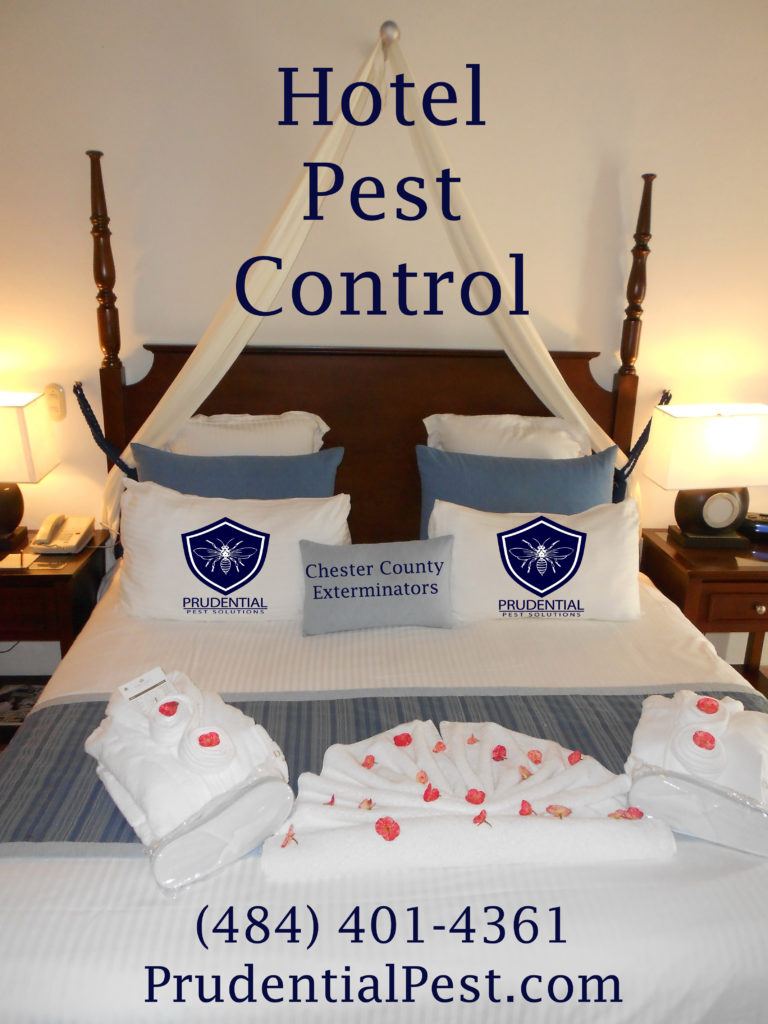 Hotel Pest Control