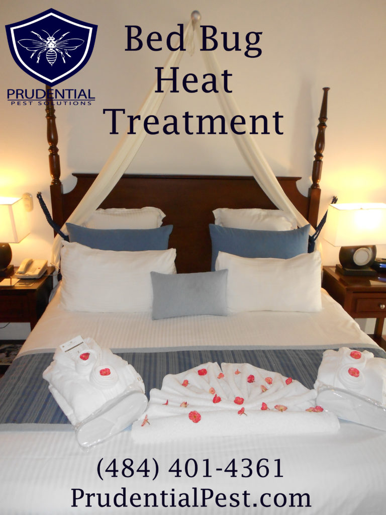 Bed Bug Heat Treatment Prudential Pest Solutions