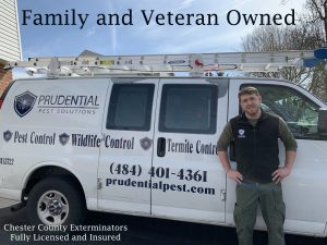 Pest Control Chester County