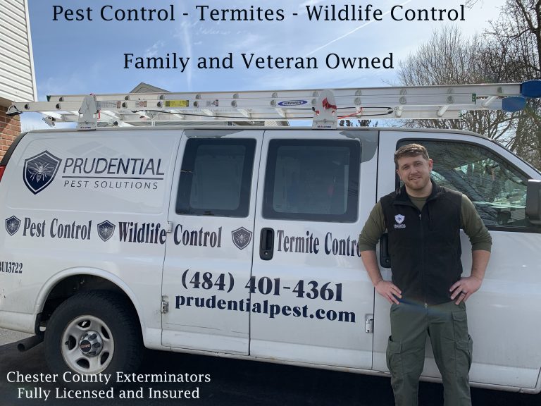 Affordable Pest Control - Prudential Pest Solutions