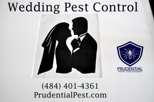 Wedding Pest Control