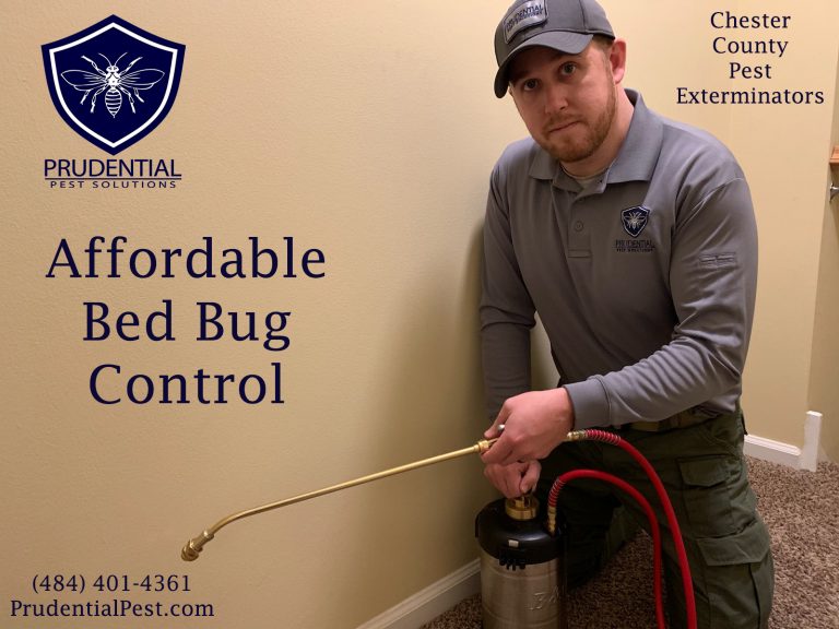 Affordable Bed Bug Treatments - Prudential Pest Solutions