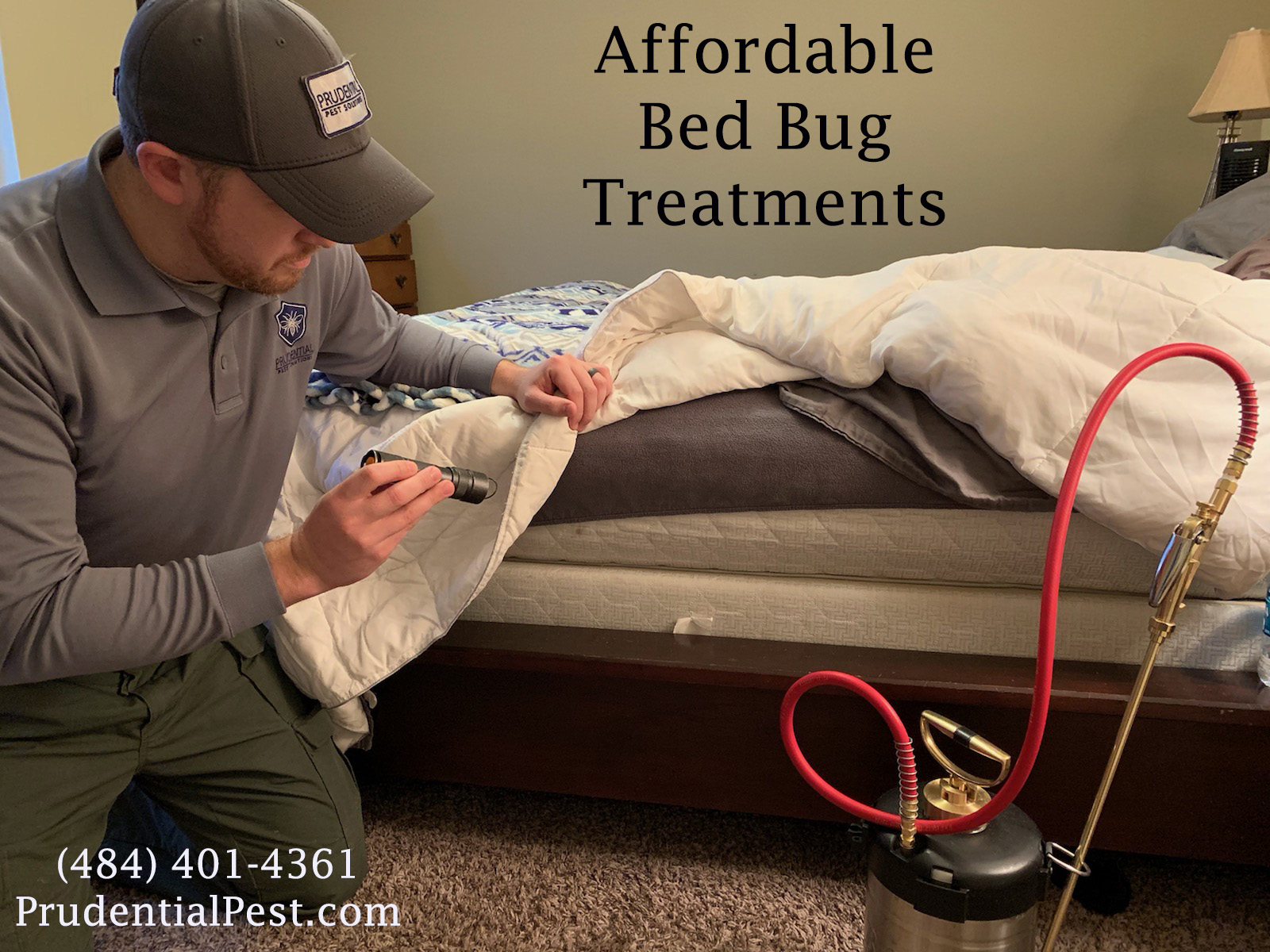 affordable bed bug treatments