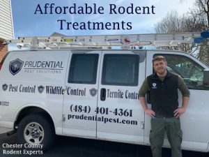 affordable rodent treatments