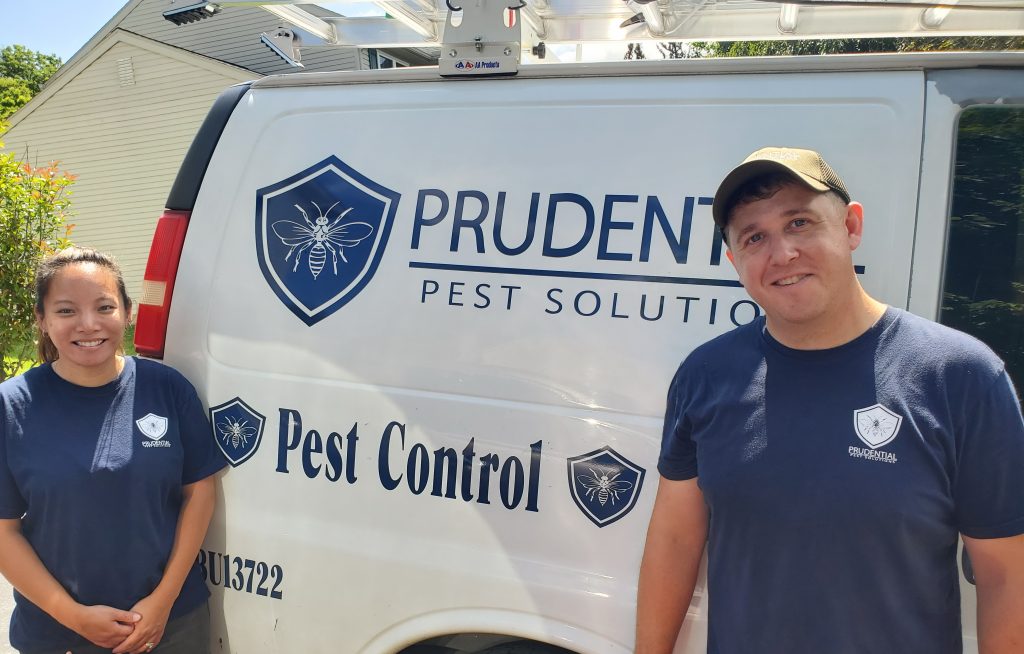 Natural Pest Control Prudential Pest Solutions