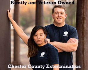 Chester County Exterminators