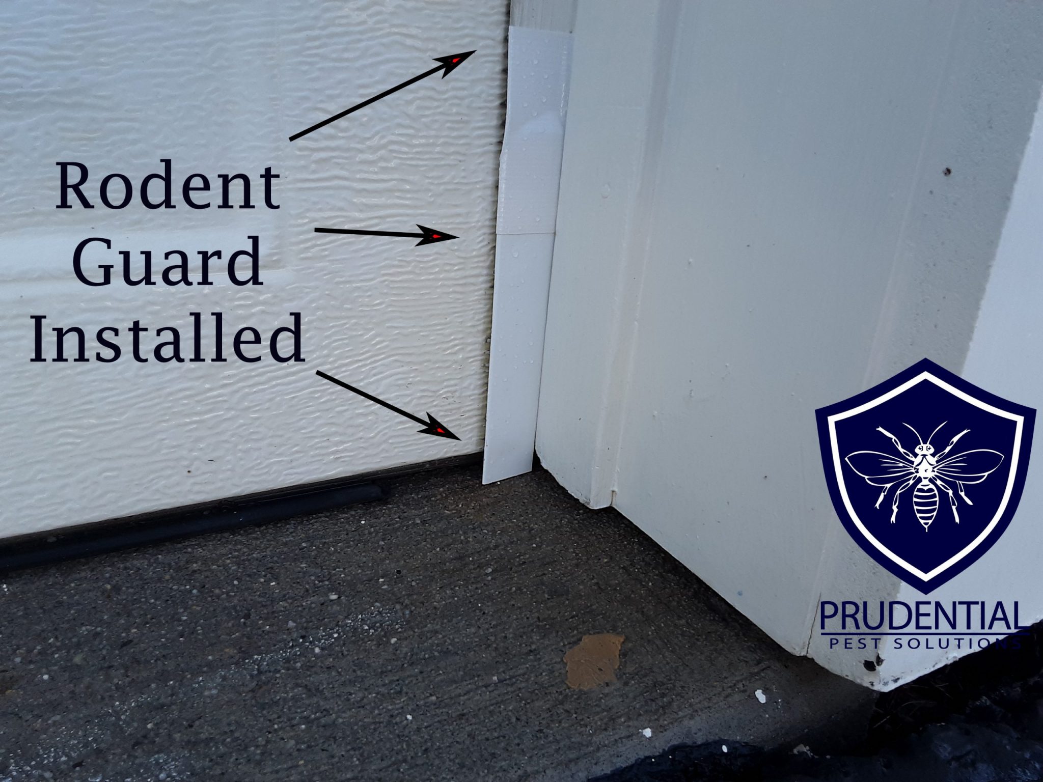 Replacing Garage Door Seals To Keep Pests Out Prudential Pest Solutions replacing-garage-door-seals-to-keep-pests-out-prudential-pest-solutions