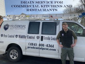 Drain Service and Cleaning