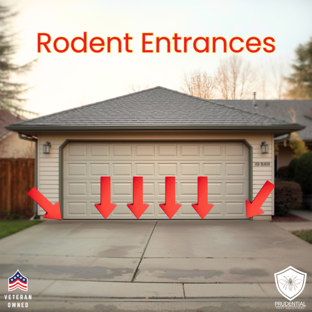 a garage with arrows pointing to where mice and pests can enter