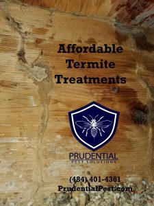 affordable termite treatments