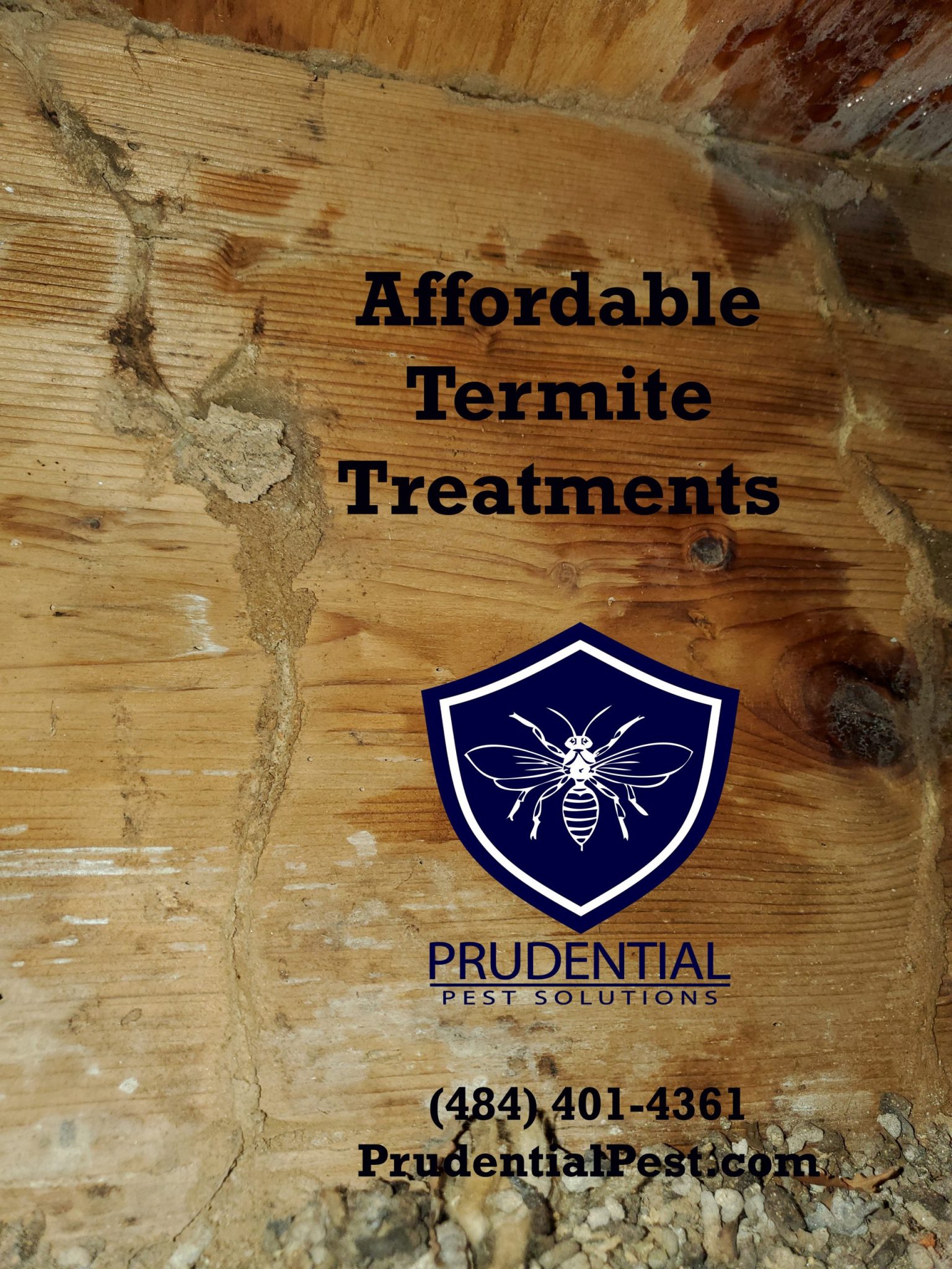 Termite Extermination Archives Prudential Pest Solutions 4136