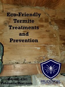 eco friendly termite control