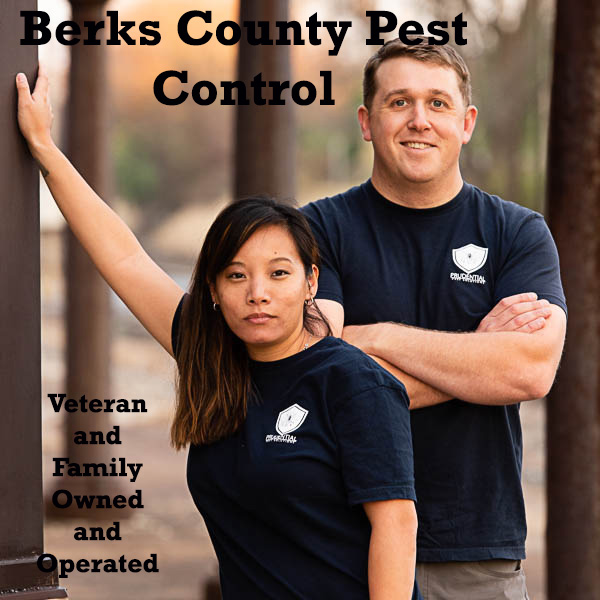 Berks County Pest Control