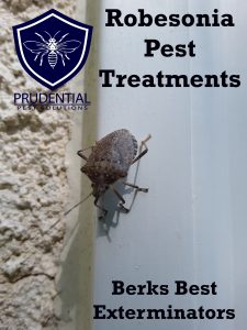 robesonia pest treatments