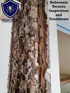 robesonia termite inspections and treatments