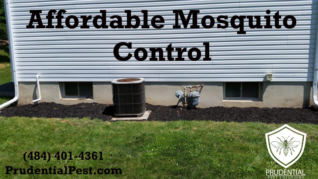 affordable mosquito control