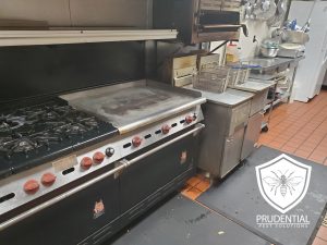 commercial kitchen exterminator