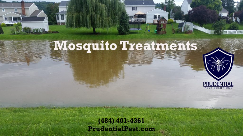 mosquito treatments