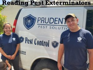 reading pest exterminators