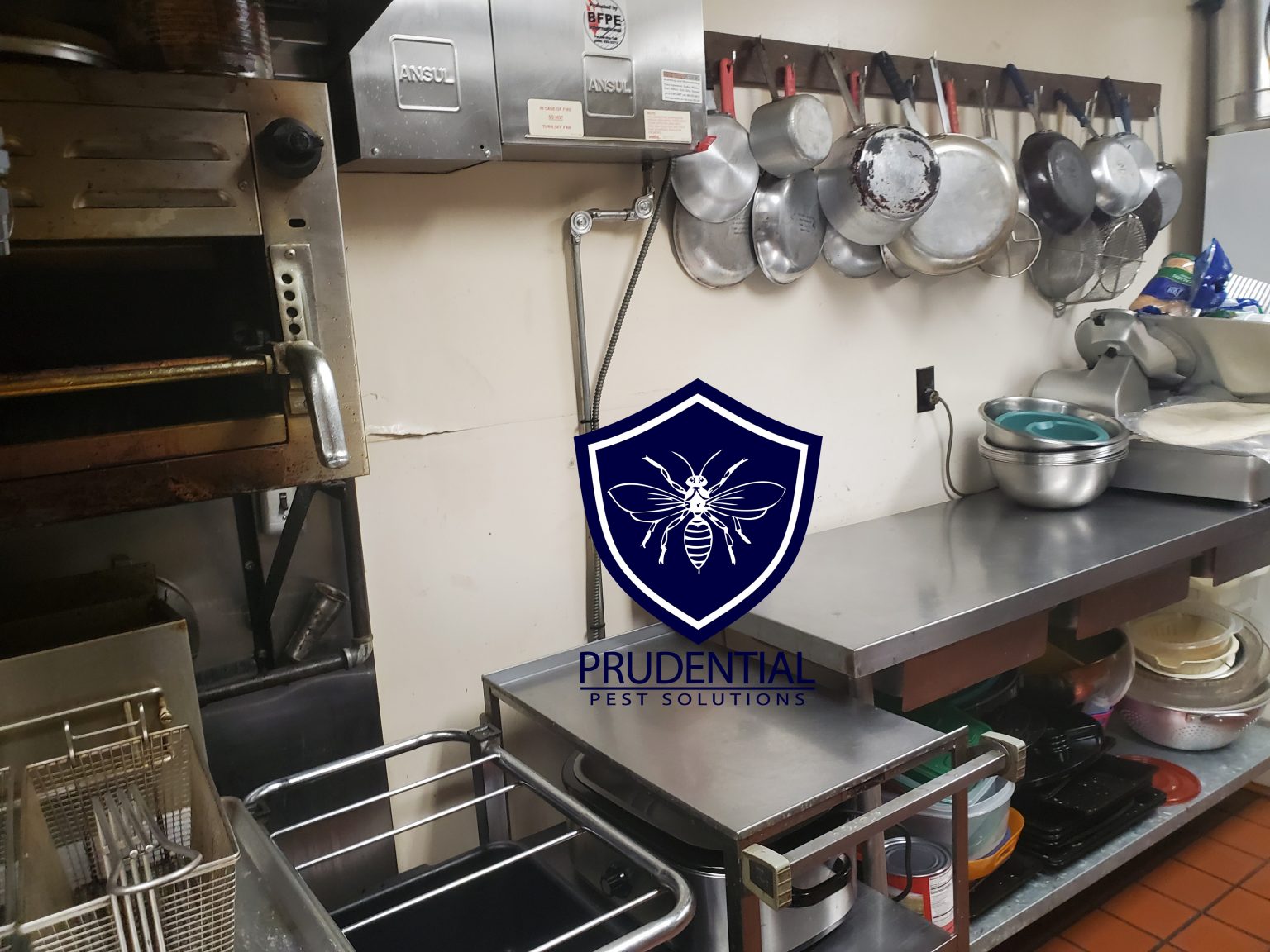 Commercial Kitchen Pest Control Prudential Pest Solutions