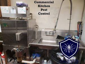 restaurant pest control services
