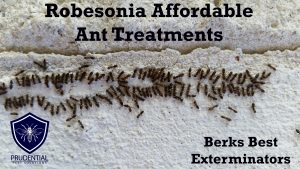 robesonia affordable ant treatments