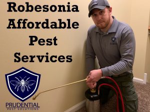 Robesonia affordable pest services