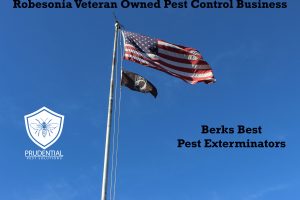 robesonia pest business