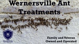 wernersville ant treatments