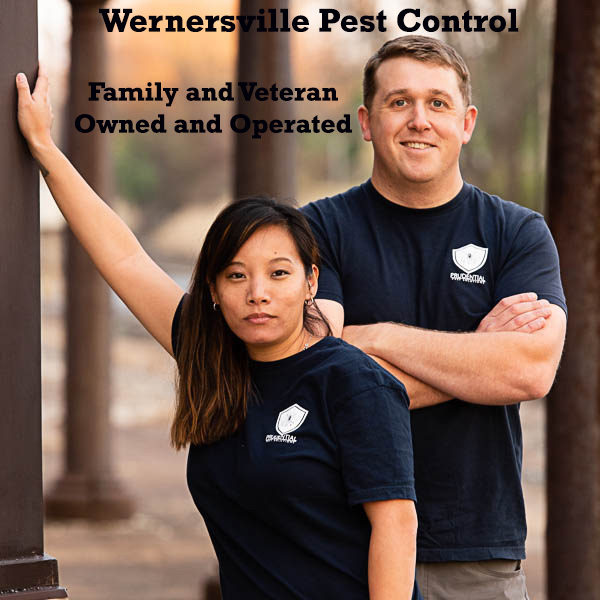 wernersville pest control