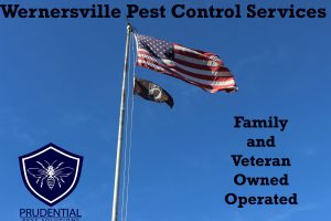 wernersville pest control services