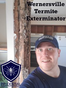 wernersville termite exterminator