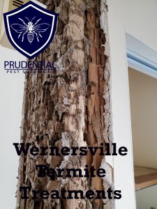 wernersville termite treatments