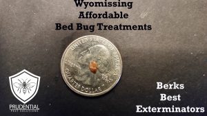 wyomissing affordable bed bug treatments