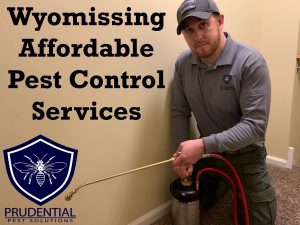 wyomissing affordable pest control services