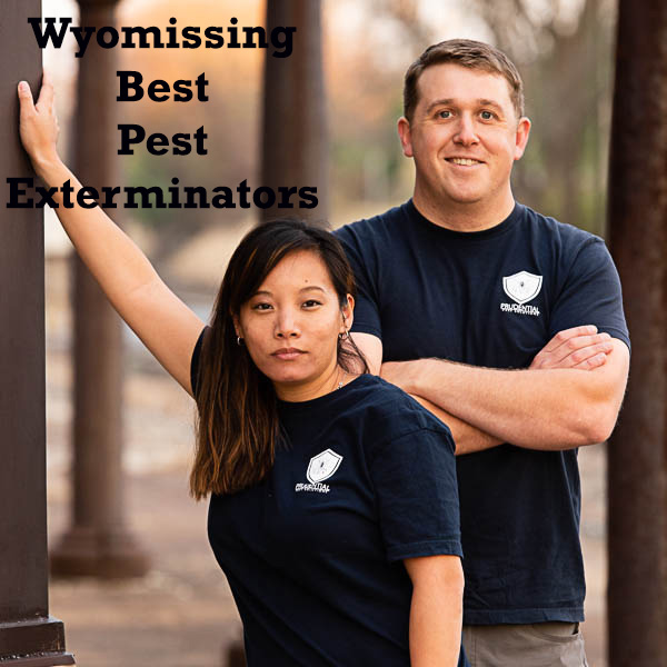 wyomissing best pest exterminators