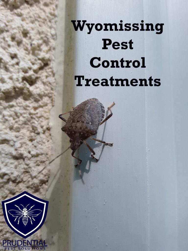 wyomissing pest control treatments