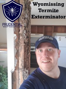 wyomissing termite exterminator