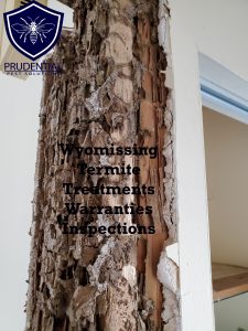 wyomissing termite treatments