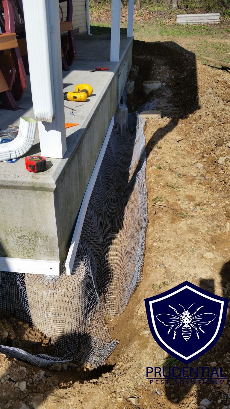 Keep Animals OUT from under your porch and shed Prudential Pest Solutions