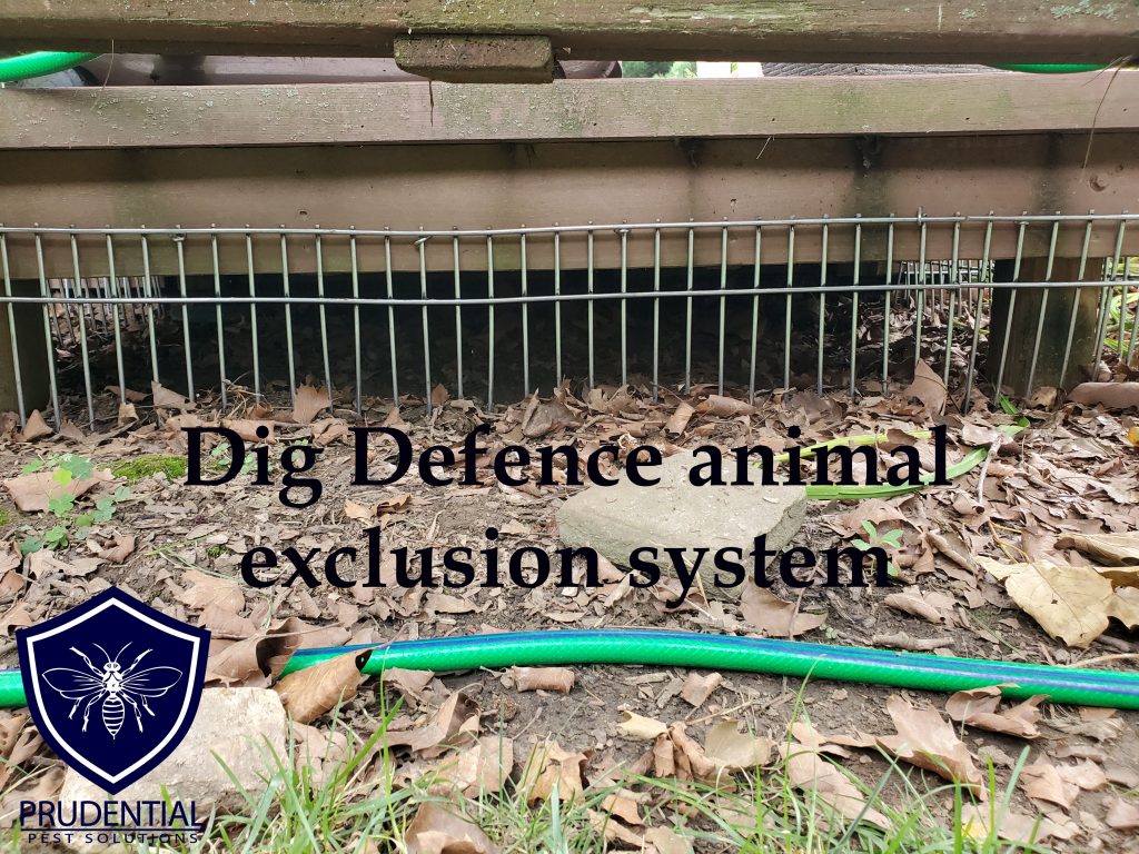 dig defence animal exclusion system